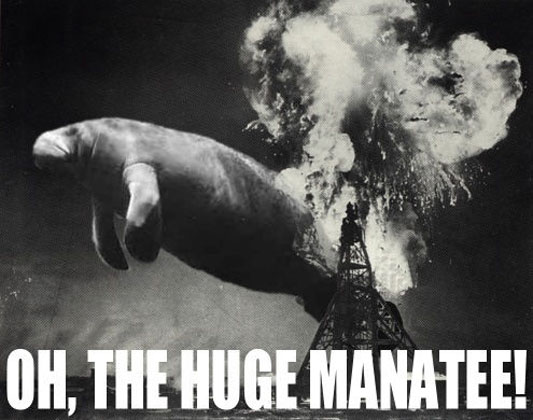 Oh the huge Manatee!